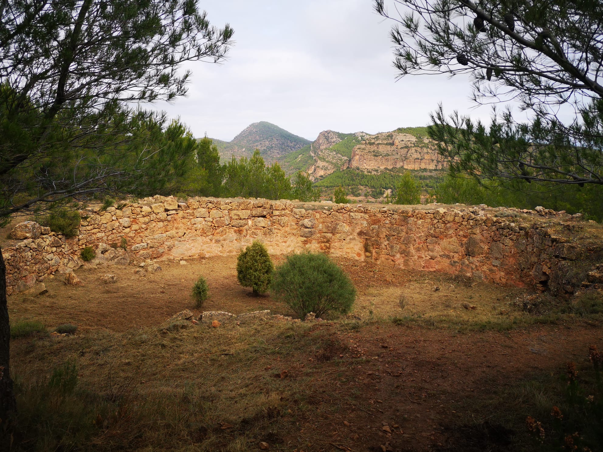 El Ventisquer de Rebalsadores - Serra tot natura