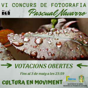 Read more about the article Voting period opens for the Pascual Navarro photography contest