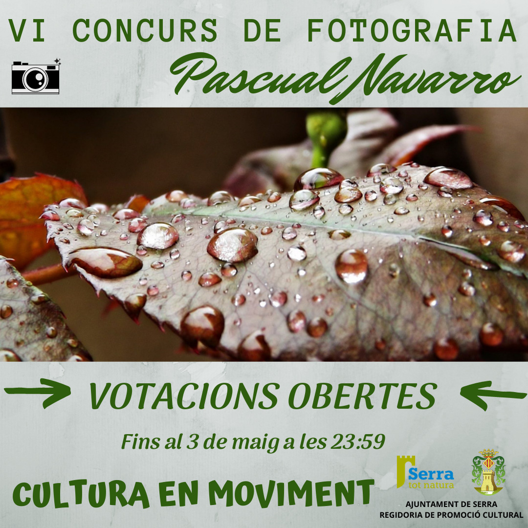 You are currently viewing Votacions obertes concurs de fotografia Pascual Navarro