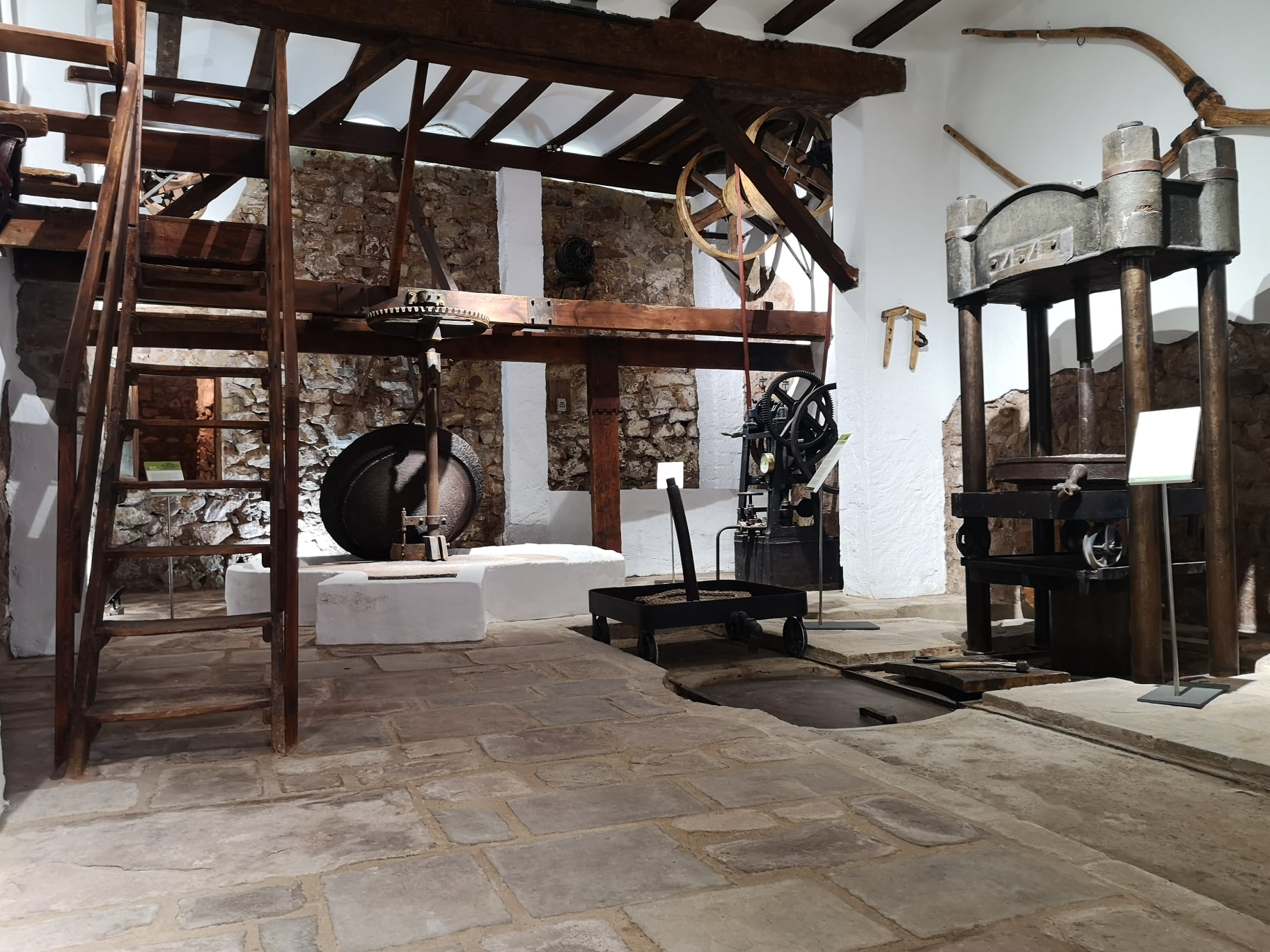 You are currently viewing Serra opens the Museu de l’Oli (Olive Oil Museum) on Pilota Street