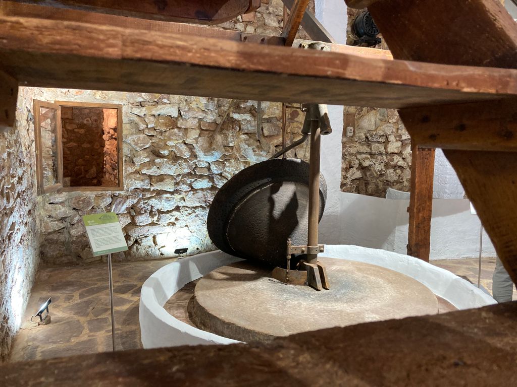 You are currently viewing Tours to the Olive Oil Museum