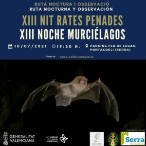 Lee más sobre el artículo XIII Noche de los murciélagos 10 de julio de 2021