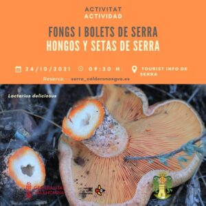Read more about the article Fongs i bolets de Serra