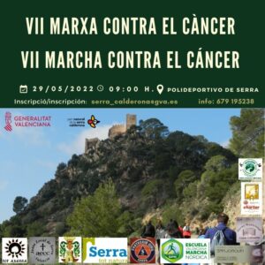 Lee más sobre el artículo VII Marcha contra el Cáncer