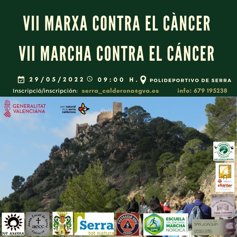 En este momento estás viendo VII Marcha contra el Cáncer