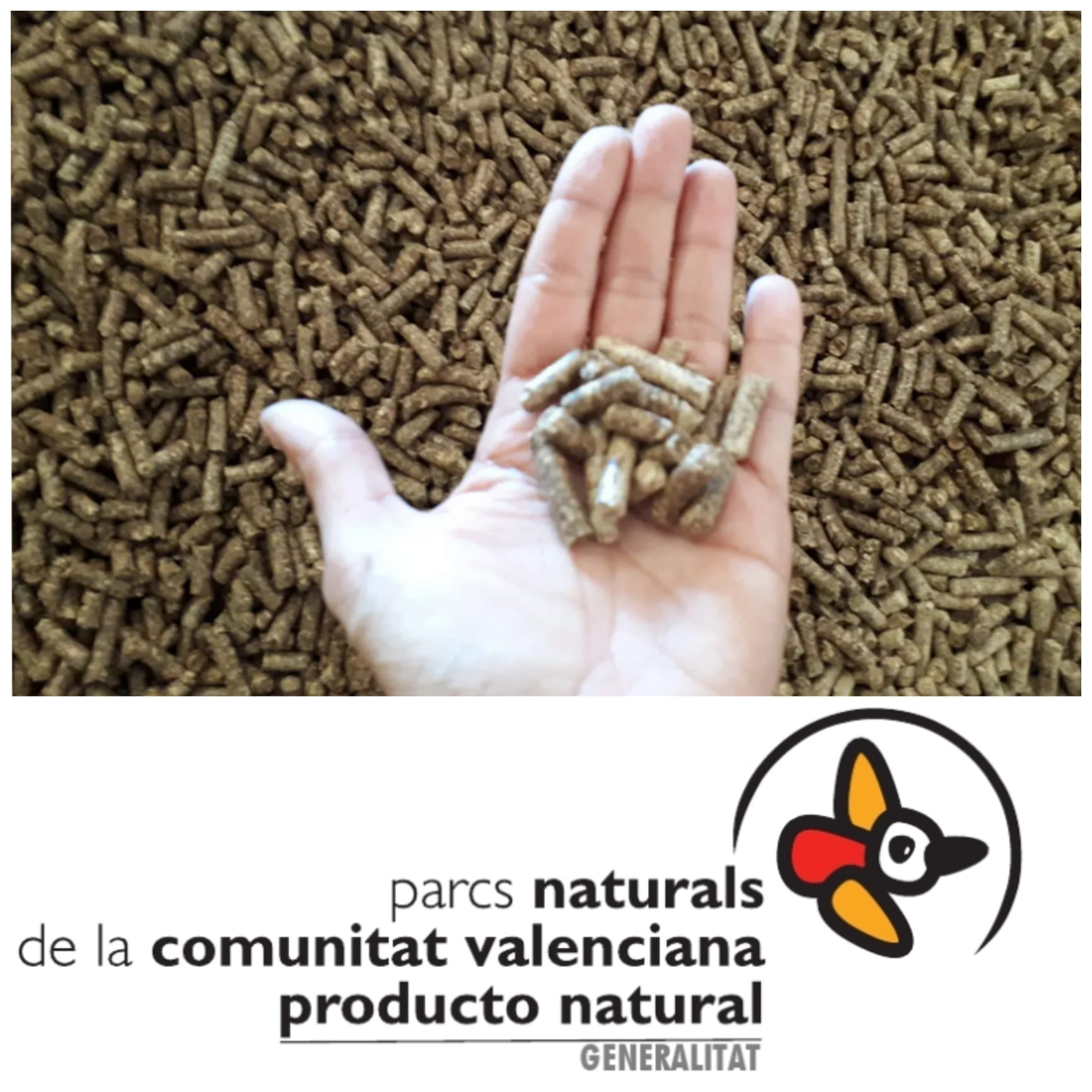 You are currently viewing The pellet of Serra gets the Parc Natural mark