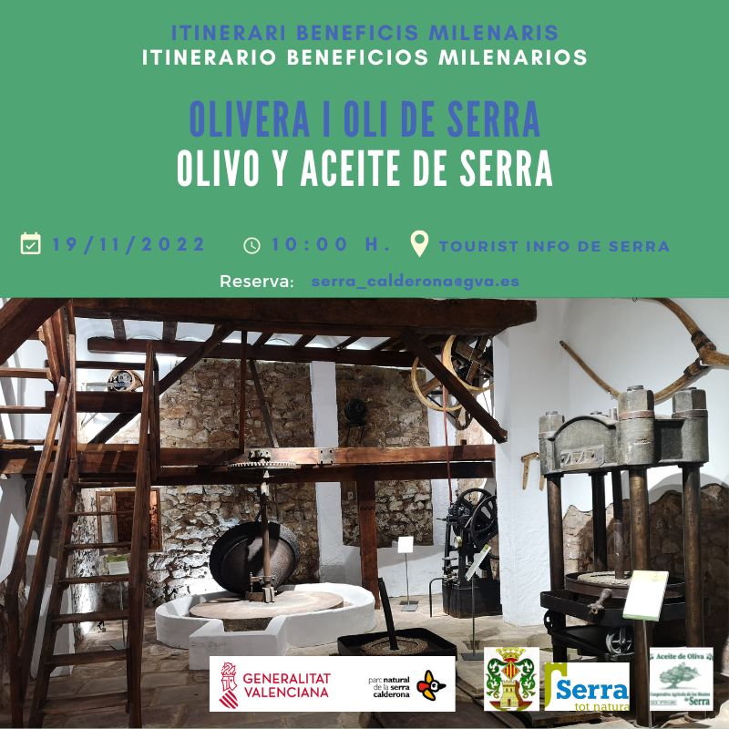 You are currently viewing Olivera i oli de Serra