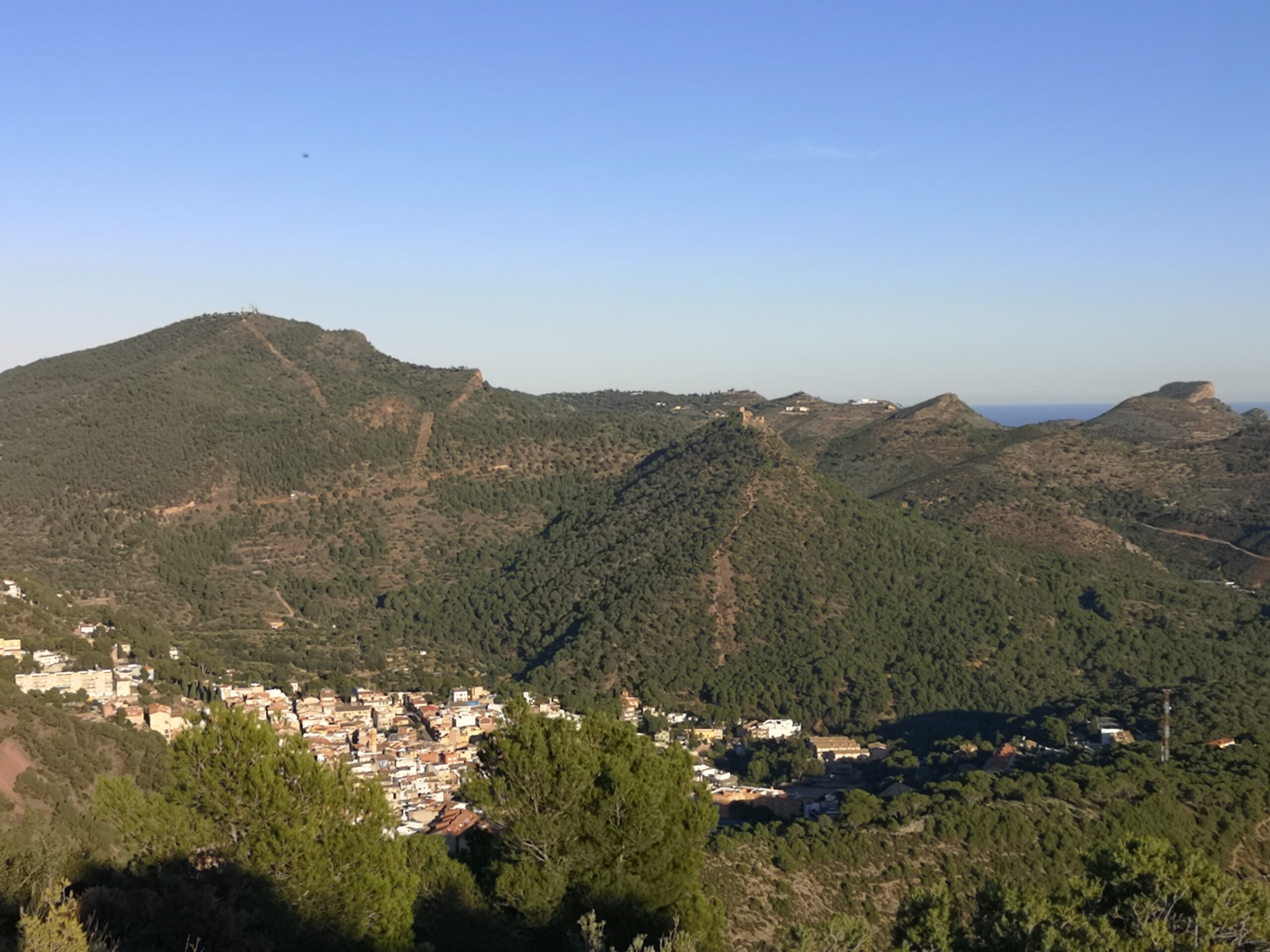 En este momento estás viendo Maratón de la Calderona y Carrera Árboles y Castillos 2023