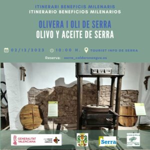 Read more about the article Olive tree and oil in Serra 2023