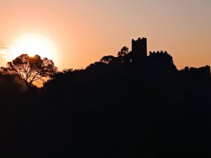 Read more about the article Una imatge del castell de Serra guanya el X Concurs de fotografía Pasqual Navarro
