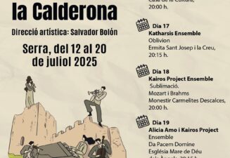 Cartell musica cambra