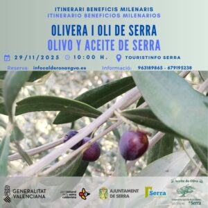 Lee más sobre el artículo Beneficios milenarios: Olivo y aceite en Serra