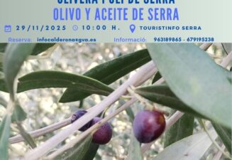 Cartel aceite y olivo Serra