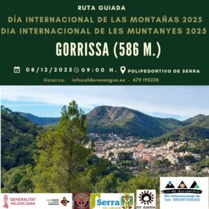 Lee más sobre el artículo Dia Internacional de la Montañas