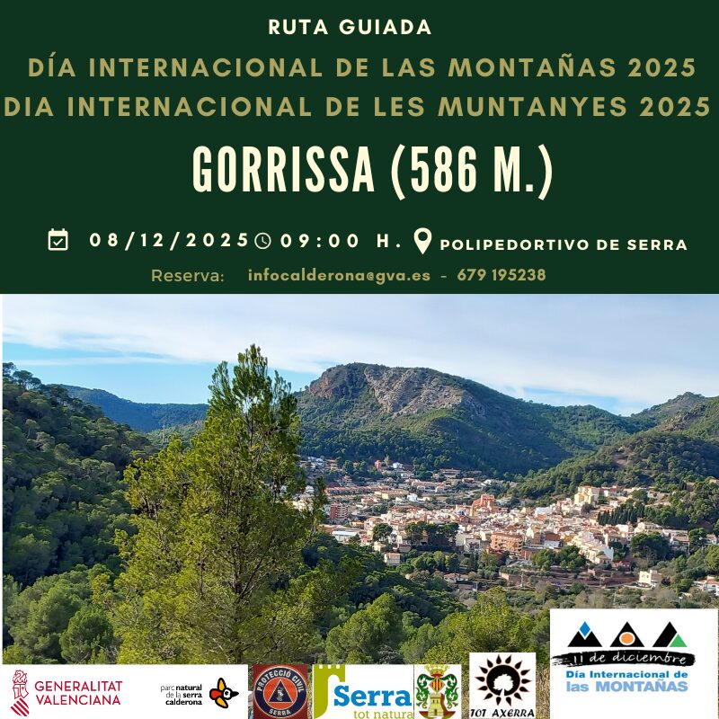 En este momento estás viendo Dia Internacional de la Montañas