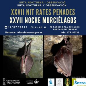 Read more about the article XXVII i XXVIII Nit trates penades