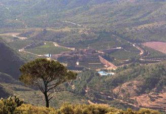 Vistes Cartoixa des del coll pobleta a Serra